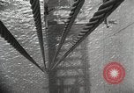 Image of wire rope United States USA, 1933, second 22 stock footage video 65675067272