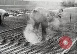 Standbild Golden Gate Bridge United States USA, 1933, aus Sekunde 13 historischem Filmmaterial Videoclip 65675067274
