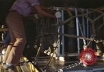 Immagine di Airlift Lod Tel Aviv Israele, 1973, secondo 17 filmato di repertorio 65675067276