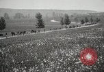 Image 3ème Division d'infanterie France, 1918, de la seconde 14 séquences d'archives historiques vidéo 65675067296