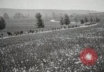 Image 3ème Division d'infanterie France, 1918, de la seconde 15 séquences d'archives historiques vidéo 65675067296