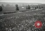 Image 3ème Division d'infanterie France, 1918, de la seconde 42 séquences d'archives historiques vidéo 65675067296