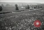 Image 3ème Division d'infanterie France, 1918, de la seconde 50 séquences d'archives historiques vidéo 65675067296