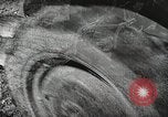 Image of farmers work Brooklyn New York City USA, 1944, second 54 stock footage video 65675067305