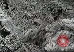 Image of farmers work Brooklyn New York City USA, 1944, second 56 stock footage video 65675067305