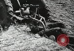 Image of farmers work Brooklyn New York City USA, 1944, second 57 stock footage video 65675067305