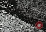 Image of farmers work Brooklyn New York City USA, 1944, second 58 stock footage video 65675067305