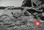 Image of farmers work Brooklyn New York City USA, 1944, second 59 stock footage video 65675067305
