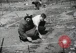 Image of farmers Brooklyn New York City USA, 1944, second 27 stock footage video 65675067306