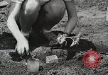 Image of farmers Brooklyn New York City USA, 1944, second 48 stock footage video 65675067306