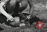 Image of farmers Brooklyn New York City USA, 1944, second 49 stock footage video 65675067306