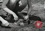 Image of farmers Brooklyn New York City USA, 1944, second 50 stock footage video 65675067306