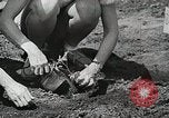 Image of farmers Brooklyn New York City USA, 1944, second 51 stock footage video 65675067306