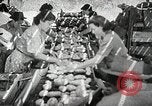 Image of farmers work Brooklyn New York City USA, 1944, second 19 stock footage video 65675067308