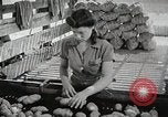 Image of farmers work Brooklyn New York City USA, 1944, second 25 stock footage video 65675067308