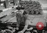 Image of farmers work Brooklyn New York City USA, 1944, second 26 stock footage video 65675067308
