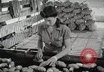 Image of farmers work Brooklyn New York City USA, 1944, second 27 stock footage video 65675067308