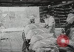Image of farmers work Brooklyn New York City USA, 1944, second 31 stock footage video 65675067308