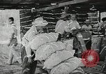 Image of farmers work Brooklyn New York City USA, 1944, second 32 stock footage video 65675067308