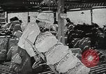 Image of farmers work Brooklyn New York City USA, 1944, second 34 stock footage video 65675067308