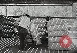 Image of farmers work Brooklyn New York City USA, 1944, second 40 stock footage video 65675067308