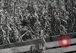 Image of farmers work Brooklyn New York City USA, 1944, second 48 stock footage video 65675067308