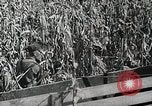 Image of farmers work Brooklyn New York City USA, 1944, second 51 stock footage video 65675067308