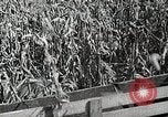 Image of farmers work Brooklyn New York City USA, 1944, second 52 stock footage video 65675067308