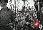 Image of farmers work Brooklyn New York City USA, 1944, second 53 stock footage video 65675067308