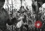 Image of farmers work Brooklyn New York City USA, 1944, second 54 stock footage video 65675067308