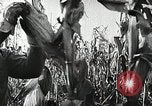 Image of farmers work Brooklyn New York City USA, 1944, second 55 stock footage video 65675067308