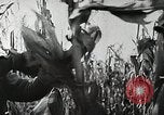 Image of farmers work Brooklyn New York City USA, 1944, second 57 stock footage video 65675067308