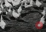 Image of farmers work Brooklyn New York City USA, 1944, second 58 stock footage video 65675067308