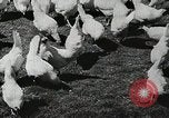 Image of farmers work Brooklyn New York City USA, 1944, second 59 stock footage video 65675067308