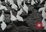 Image of farmers work Brooklyn New York City USA, 1944, second 60 stock footage video 65675067308