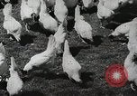 Image of farmers work Brooklyn New York City USA, 1944, second 61 stock footage video 65675067308