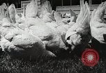 Image of farmers work Brooklyn New York City USA, 1944, second 62 stock footage video 65675067308