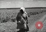 Image of Farming in America during wartime United States USA, 1944, second 6 stock footage video 65675067309