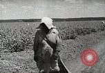 Image of Farming in America during wartime United States USA, 1944, second 7 stock footage video 65675067309