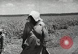 Image of Farming in America during wartime United States USA, 1944, second 8 stock footage video 65675067309
