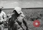 Image of Farming in America during wartime United States USA, 1944, second 9 stock footage video 65675067309