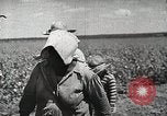 Image of Farming in America during wartime United States USA, 1944, second 10 stock footage video 65675067309
