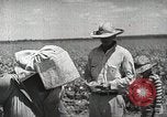 Image of Farming in America during wartime United States USA, 1944, second 11 stock footage video 65675067309