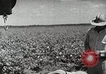 Image of Farming in America during wartime United States USA, 1944, second 13 stock footage video 65675067309