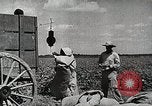 Image of Farming in America during wartime United States USA, 1944, second 17 stock footage video 65675067309