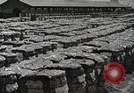 Image of Farming in America during wartime United States USA, 1944, second 18 stock footage video 65675067309
