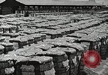 Image of Farming in America during wartime United States USA, 1944, second 19 stock footage video 65675067309