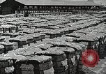 Image of Farming in America during wartime United States USA, 1944, second 20 stock footage video 65675067309