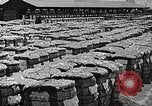 Image of Farming in America during wartime United States USA, 1944, second 21 stock footage video 65675067309