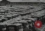 Image of Farming in America during wartime United States USA, 1944, second 22 stock footage video 65675067309